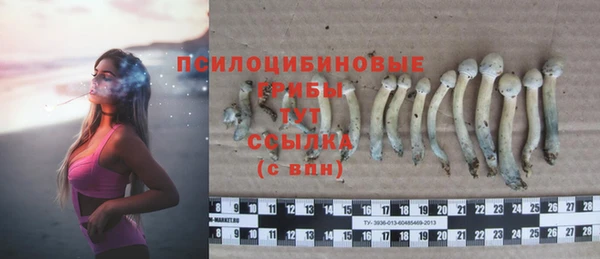 не бодяженный Беломорск