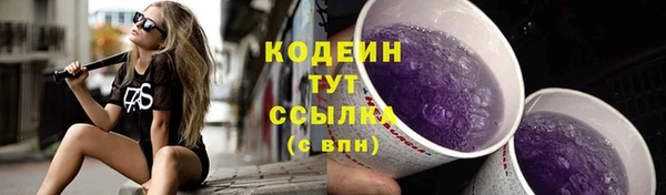 гашик Белокуриха