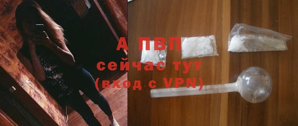 гашик Белокуриха