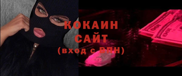 прущие грибы Тавда