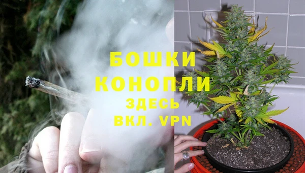 гашик Белокуриха