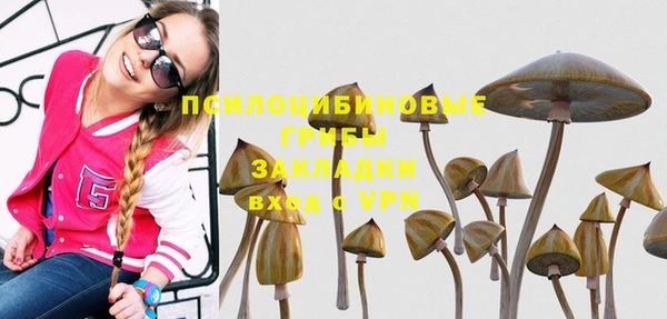 не бодяженный Беломорск